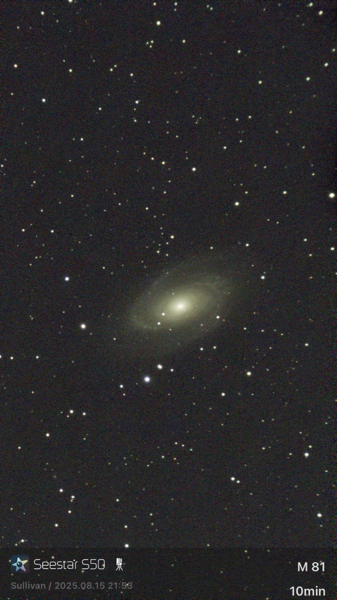 M81, Bode's Galaxy, photographed with a Seestar S50